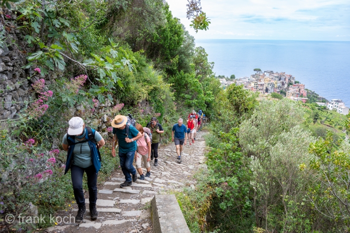 Wandern in den Cinque Terre bei Corniglia
