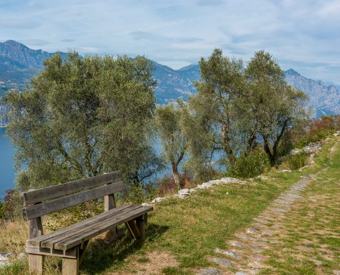 Wandern am Gardasee zwischen Olivenhainen und grandiosen Ausblicken