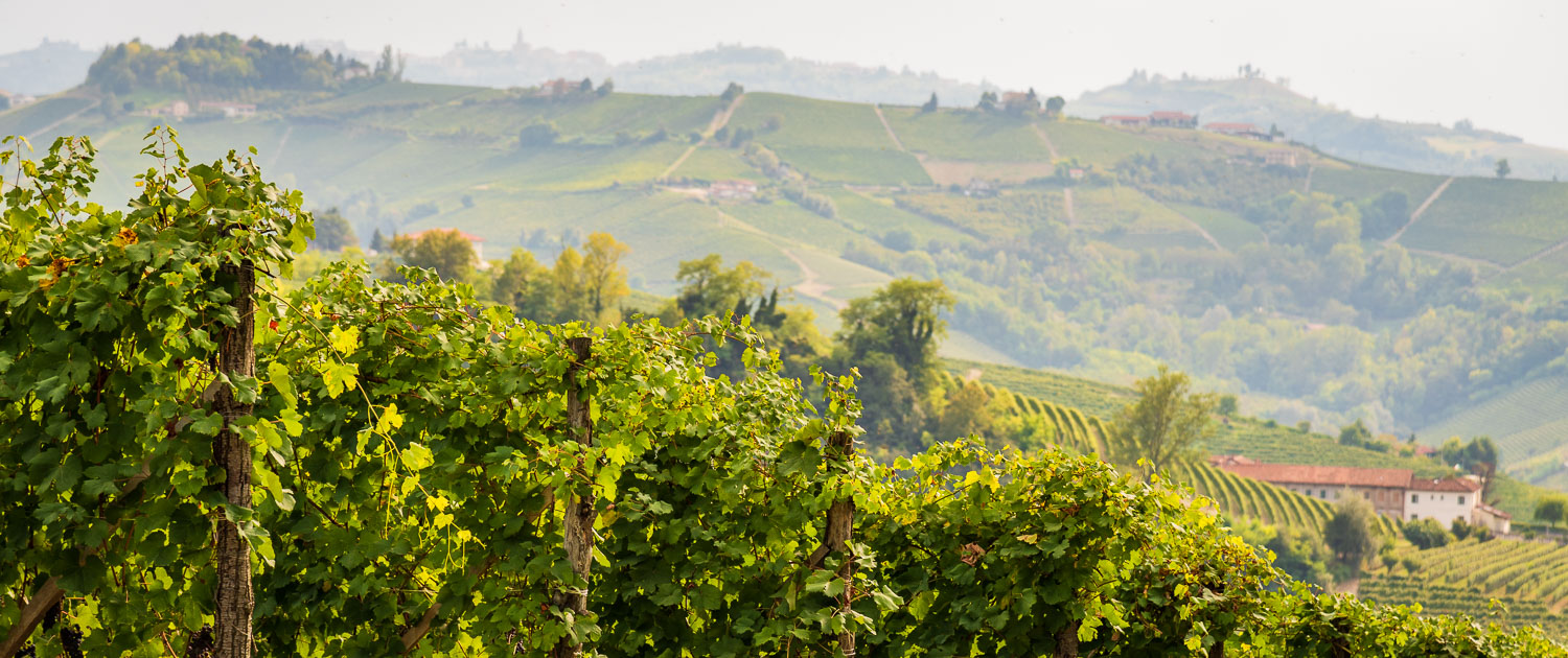 Die Weinlandschaft der Langhe, Unesco Weltkulturerbe