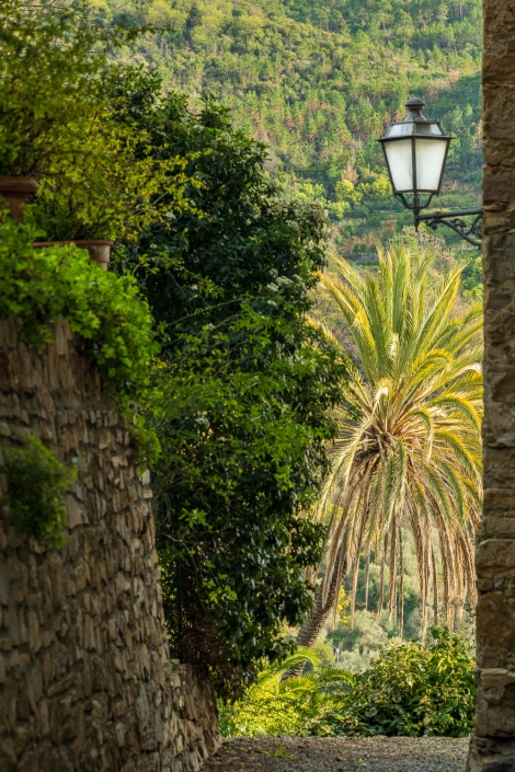 Palmengarten an der Riviera